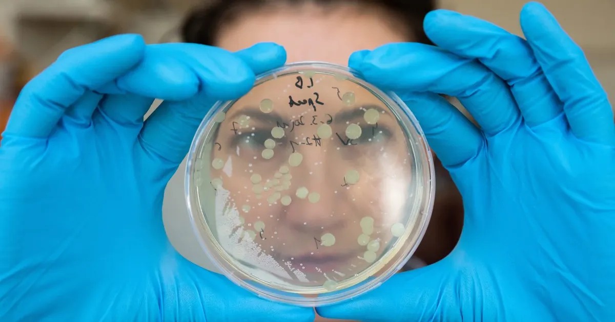 Откройте секреты своей ДНК: как тестирование может раскрыть ваши королевские корни