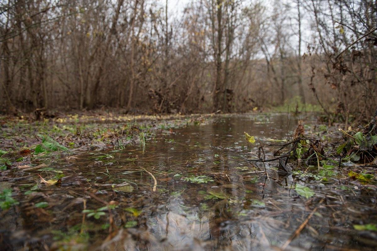 Фото: Василий Кучма