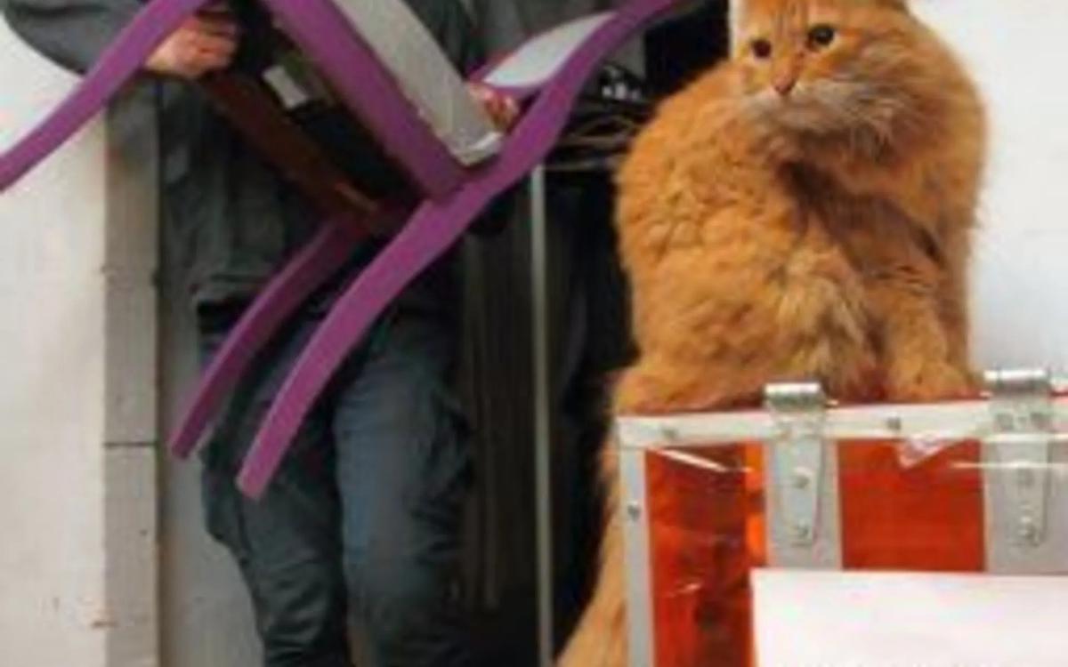 Артистов  на улицу