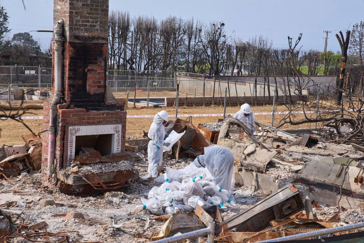 Следственные действия на месте пожара в Лос-Анджелесе. Фото: AP / TASS