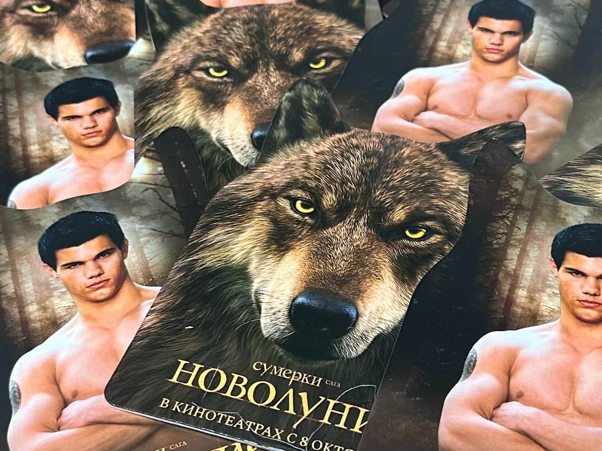 Фото: Андрей Данилов