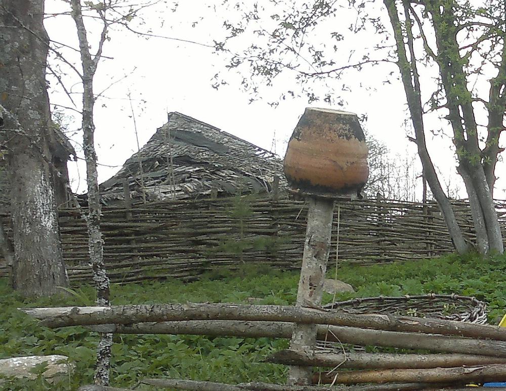 Дом в деревне Галки. Фото: Денис Коротков / «Новая газета»