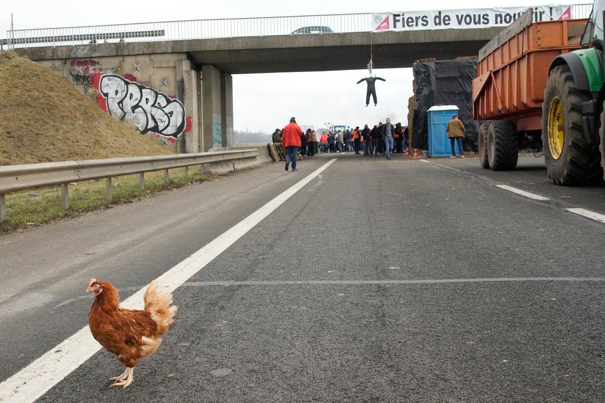 Бастующие французские фермеры перекрыли основные подъездные пути к Парижу. Фото: AP / TASS