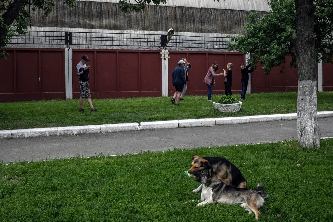 Дети играют на фоне стены с колючей проволокой. За ней — завод «Прибор». Фото: Влад Докшин / «Новая газета»