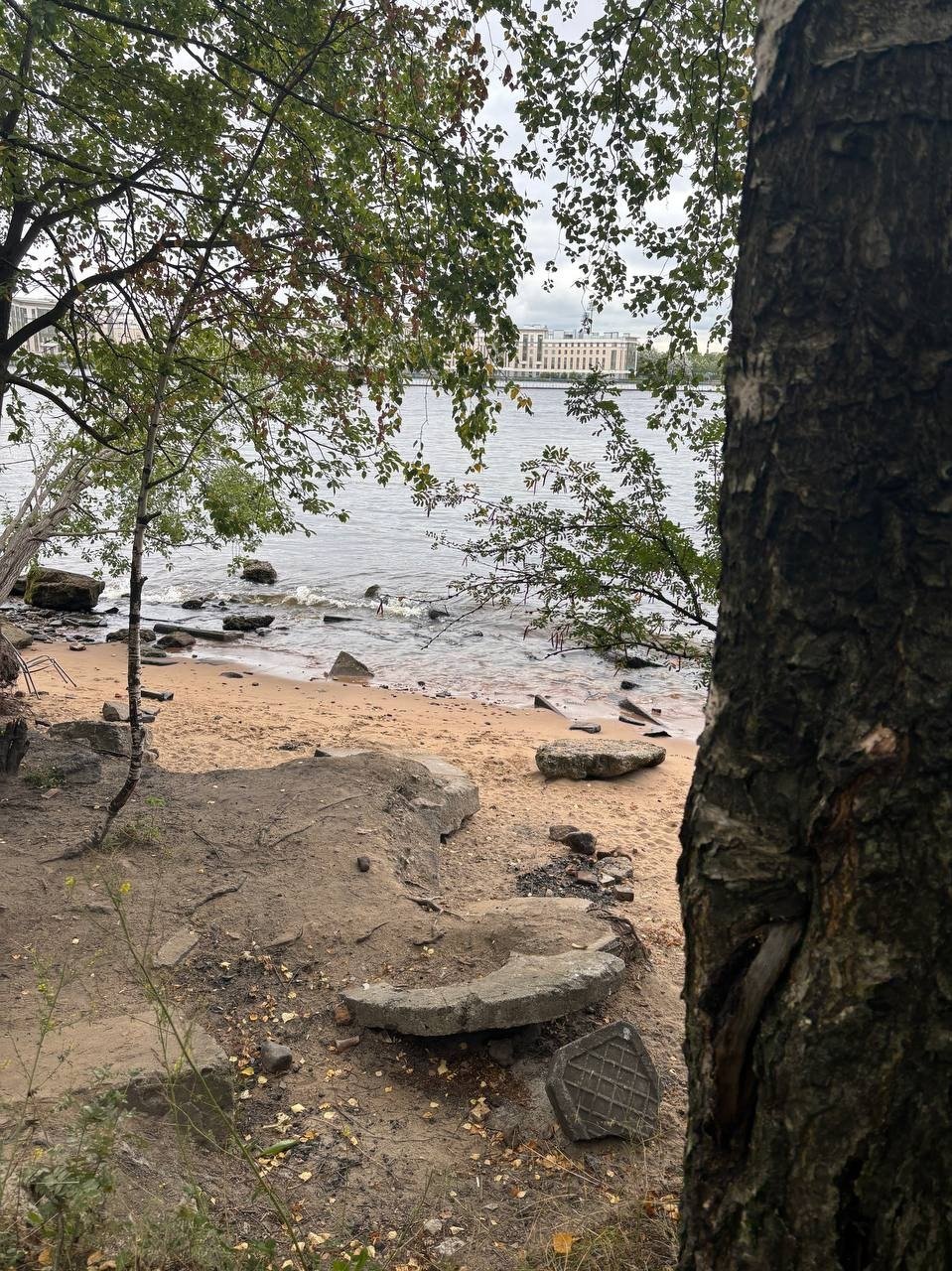 «Заросли». Фото из телеграм-канала Ольги Штанниковой