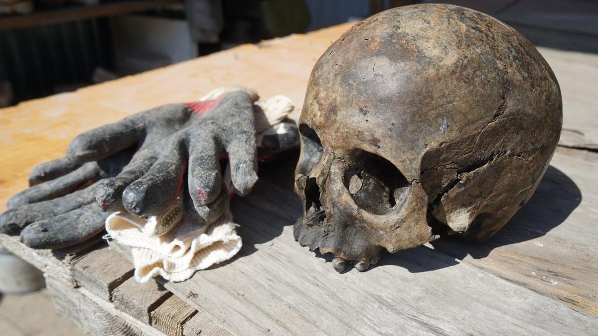 Череп древнего новгородца с Иоанновского раскопа. Фото: Наталия Демина