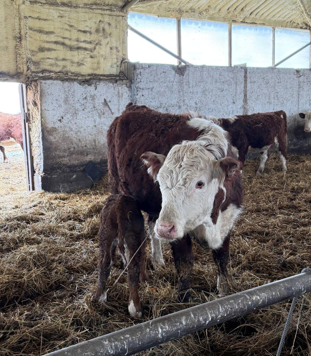 Фото: Игорь Стрельцов