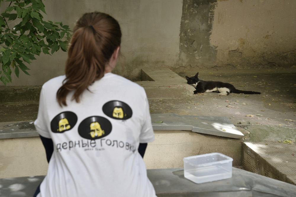 Волонтеры оставляют контейнеры с чистой питьевой водой для животных. Фото: Анастасия Цицинова, для «Новой газеты»