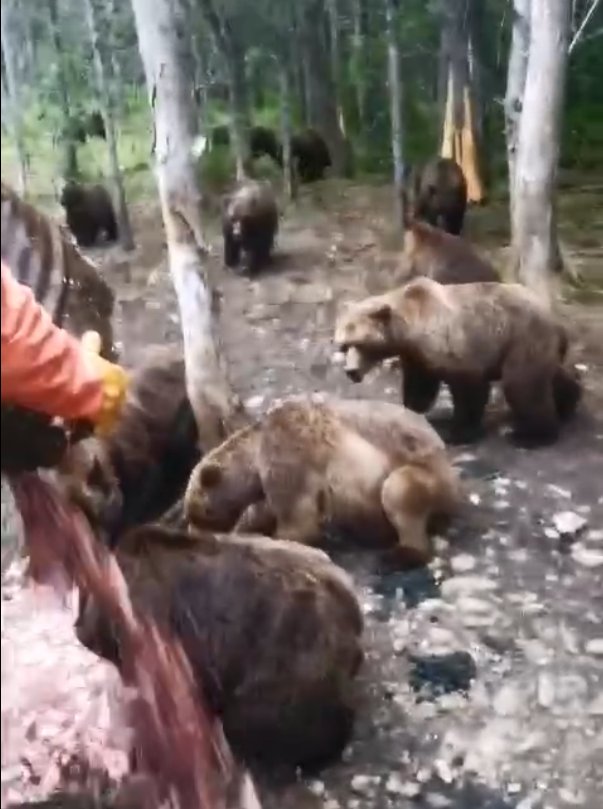 Кадр из видео. Соцсети, октябрь