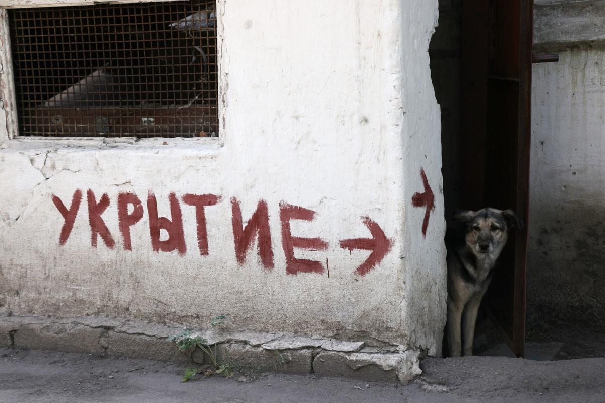 Фото: Владимир Гердо / ТАСС