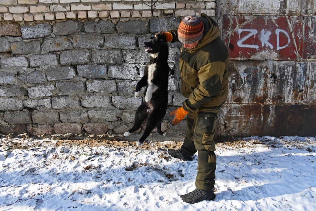 Отлов бездомных собак. Фото: Евгений Епанчинцев / ТАСС