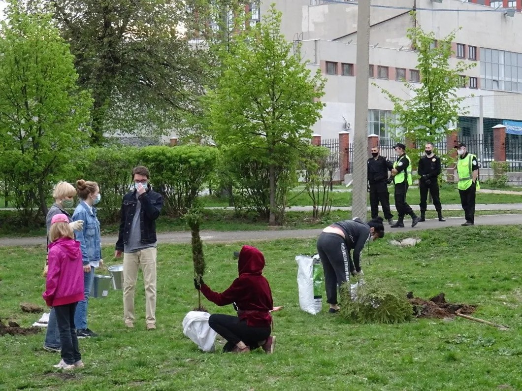 Жители города высаживают деревья на месте вырубки в парке. Фото: Владислав Постников