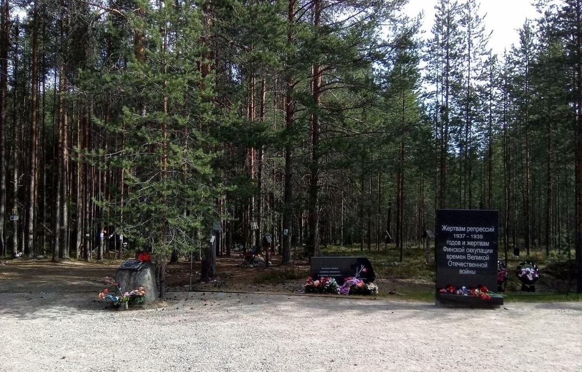 Фото: Наталья Шкуренок