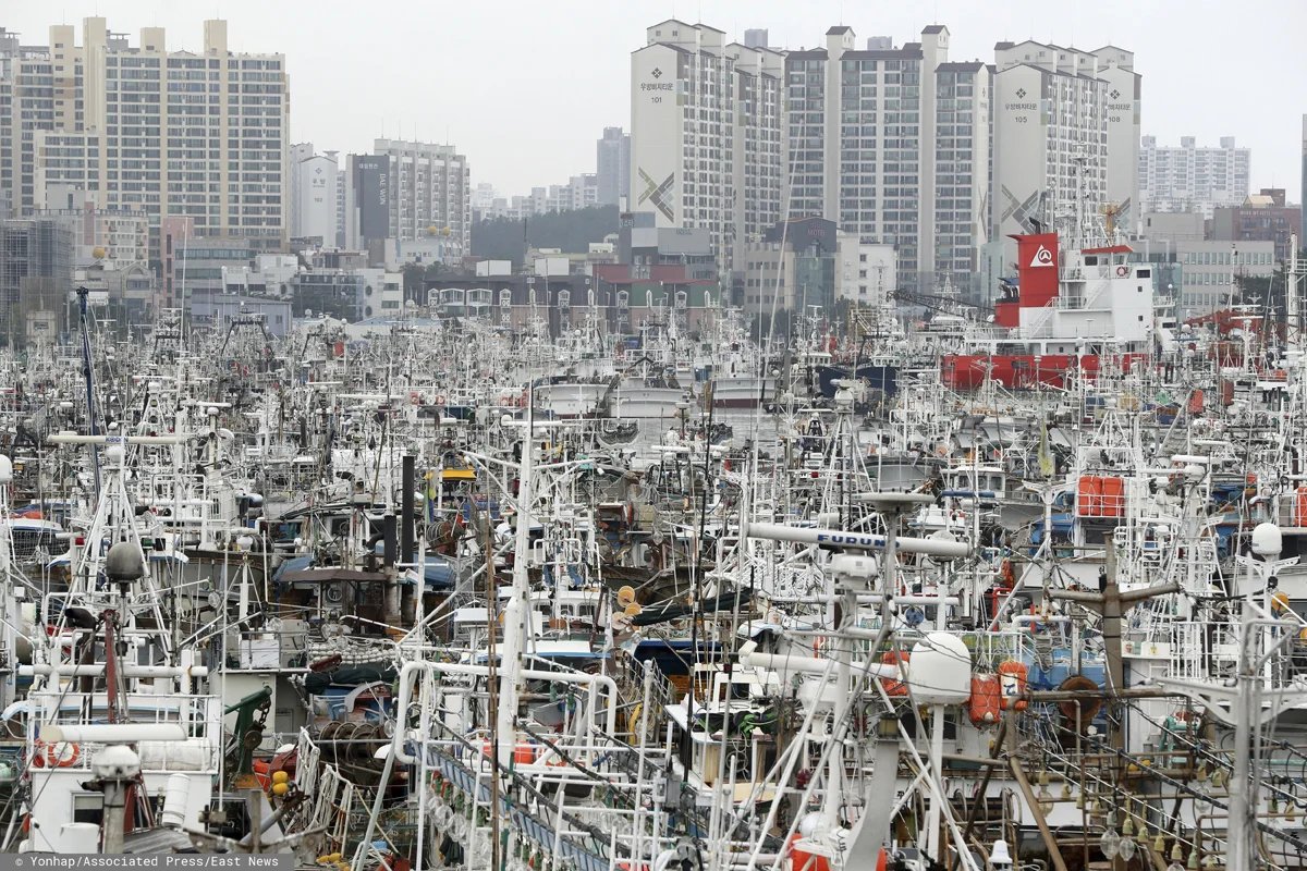 Порт Пхохан. Южная Корея. Фото: Yonhap / Associated Press / East News