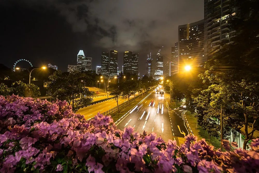 Ночной вид Сингапура. Фото: ТАСС