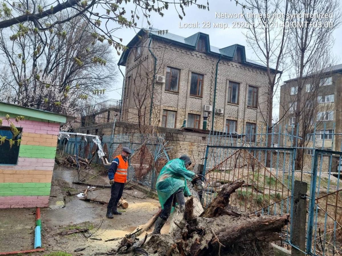 Ликвидация последствий шквалистого ветра. Фото: пресс-служба мэрии Махачкалы