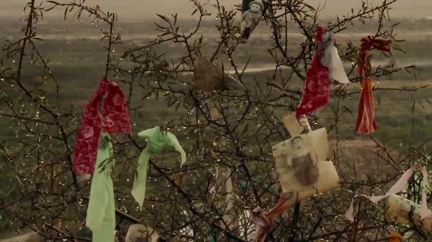 Кадр из фильма «Дерево»