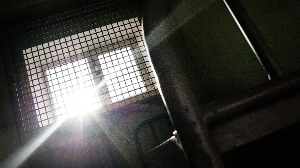 «Я попросила у Татьяны Москальковой… весы»