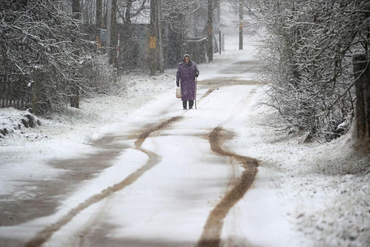 Фото: Наталия Федосенко / ТАСС
