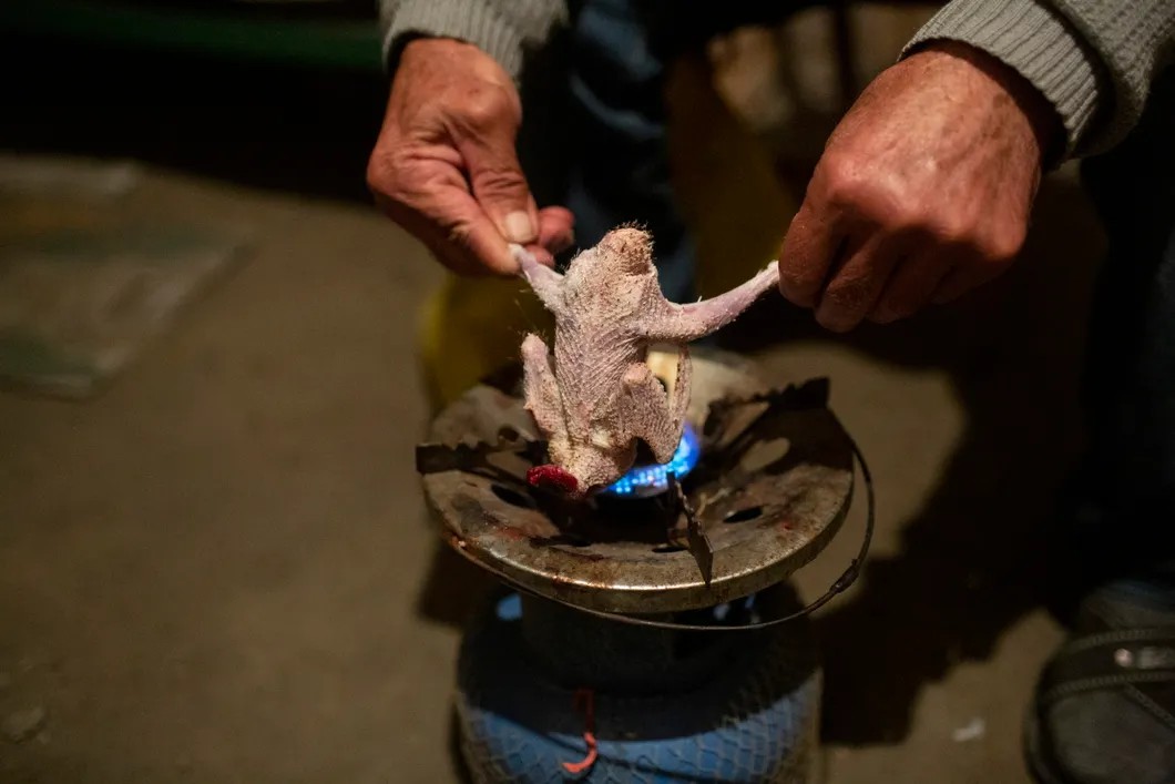 Местный житель готовит домашних голубей для еды в подвале своего дома в городе Шуши в Нагорном Карабахе. Рекадрированный. Фото: РИА Новости