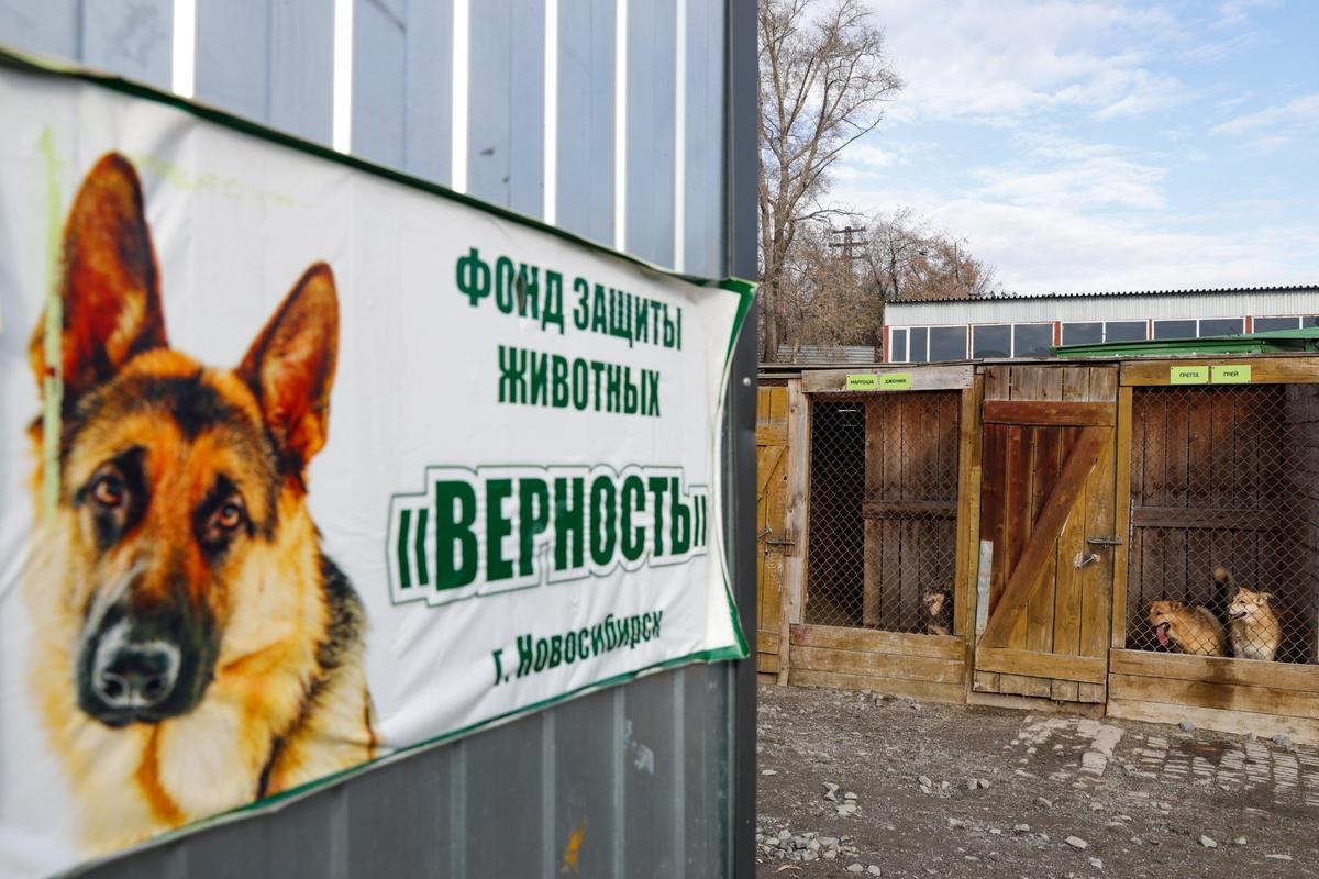 Фото: Кирилл Кухмарь / ТАСС