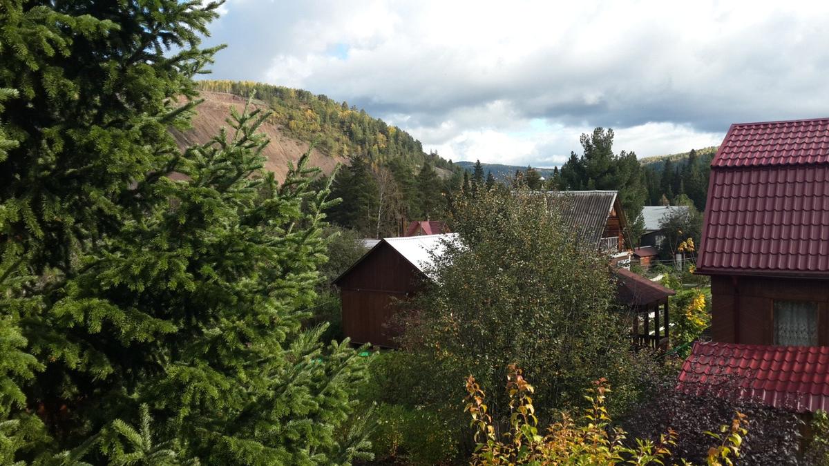 СНТ Кедровый, на заднем плане гора Змеиная и каменоломня. Фото: Алексей Тарасов / «Новая газета»
