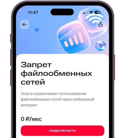 Иллюстрация из инструкции: как заблокировать себе трафик файлообменных сетей (в том числе VPN-трафик)