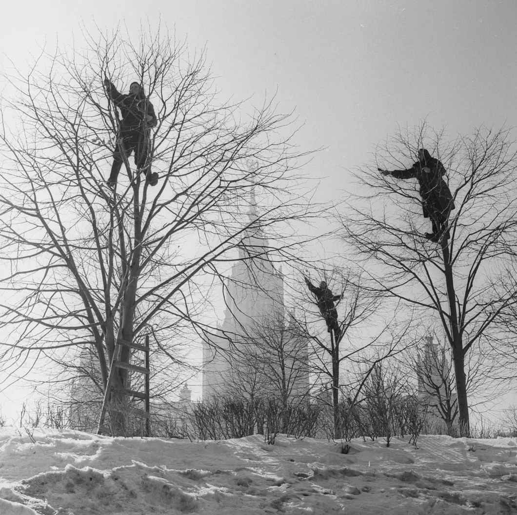 «Грачи прилетели». Москва, 1960