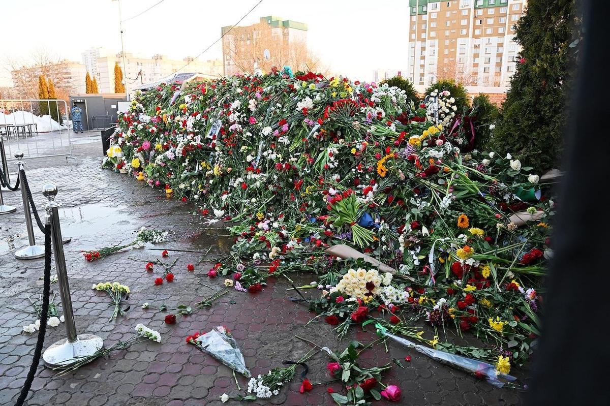 Могила Алексея Навального, засыпанная цветами. Фото: Дмитрий Лебедев / Коммерсантъ