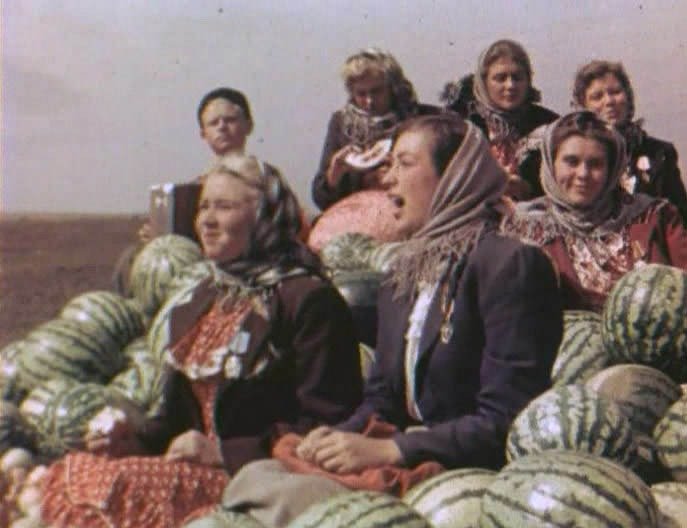 Кадр из фильма «Кубанские казаки»