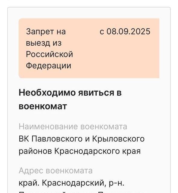 Кадр из «Госуслуг» с «флажком» запрета на выезд