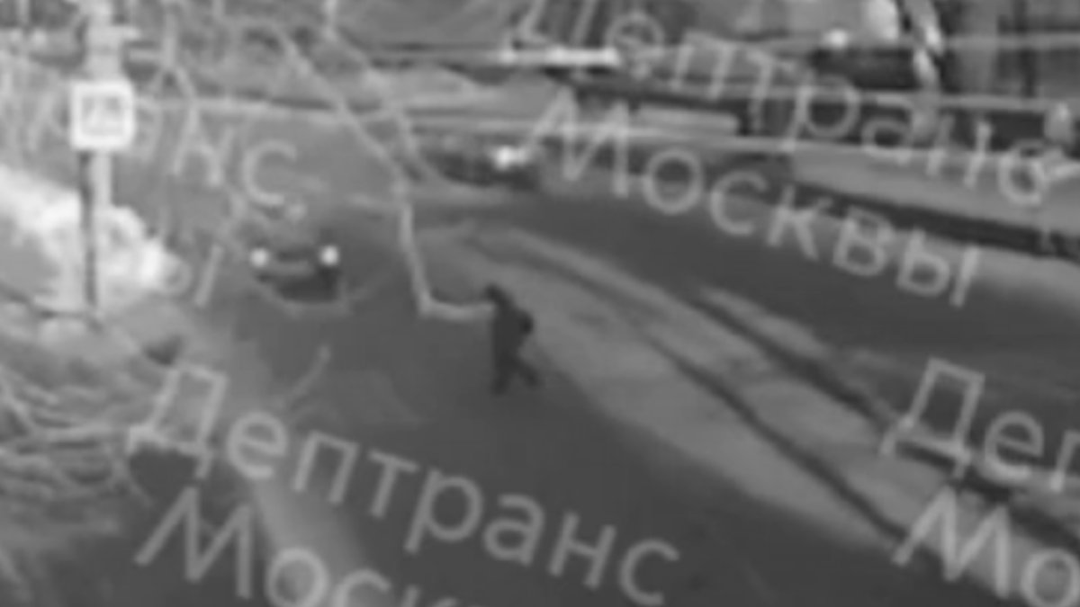 Лев Рубинштейн переходит пустую дорогу днем по пешеходному переходу. Запись камеры видеонаблюдения / Дептранс Москвы