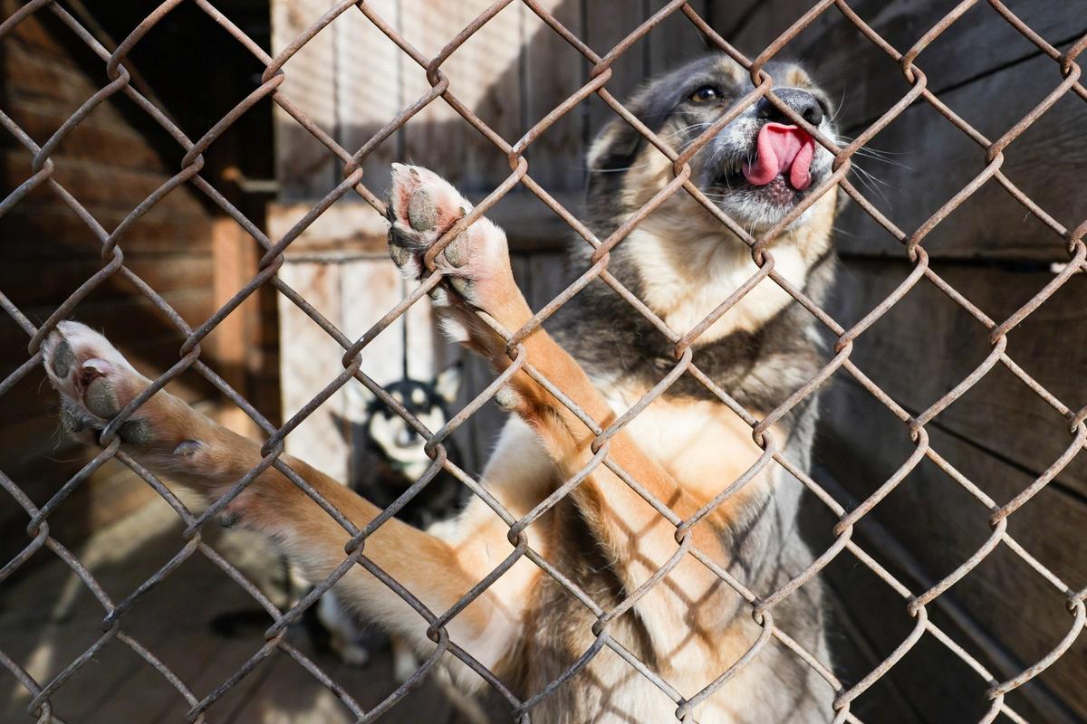 Фото: Кирилл Кухмарь / ТАСС