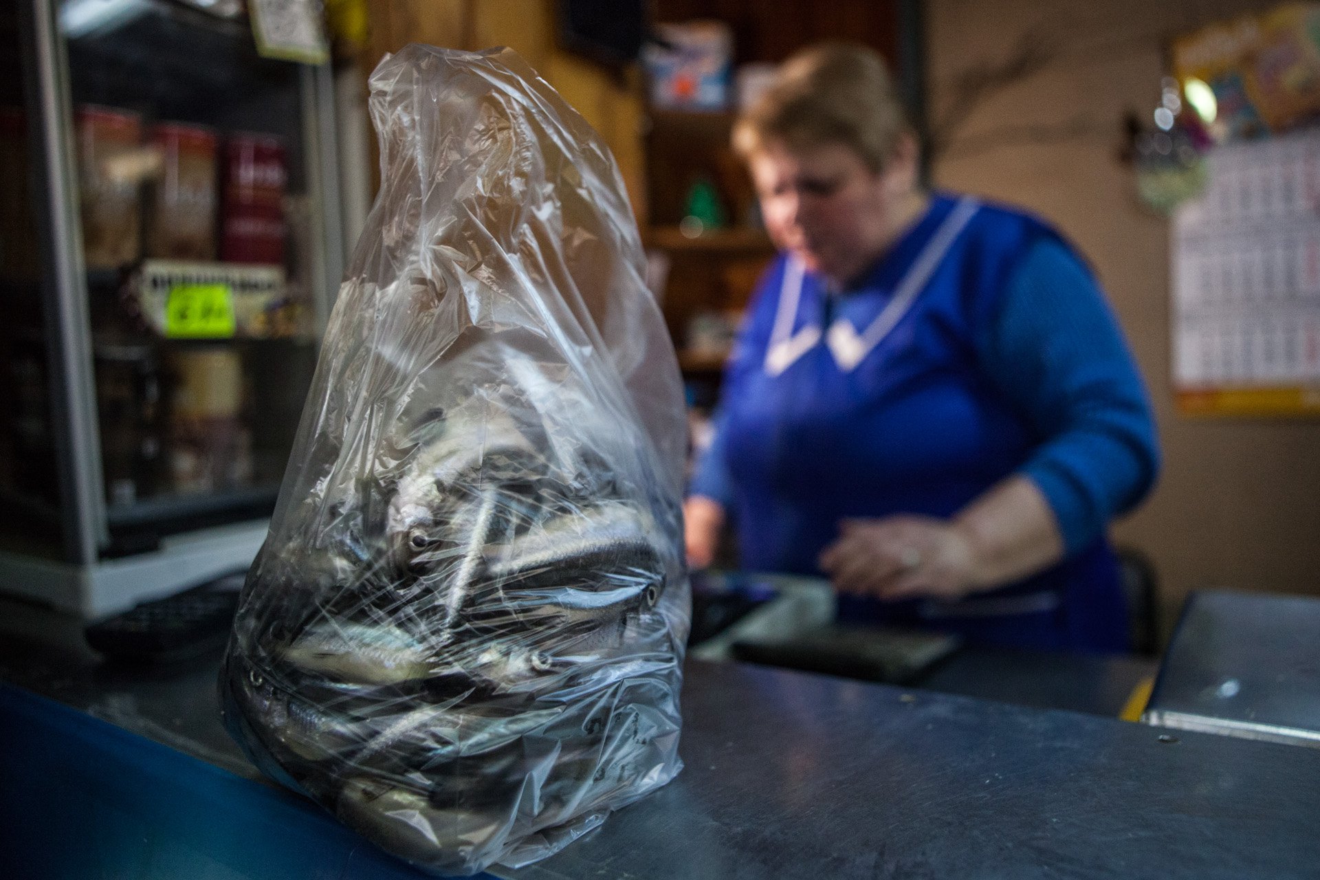 Рыбный магазин в Новой Ладоге. Фото: Елена Лукьянова / «Новая газета»