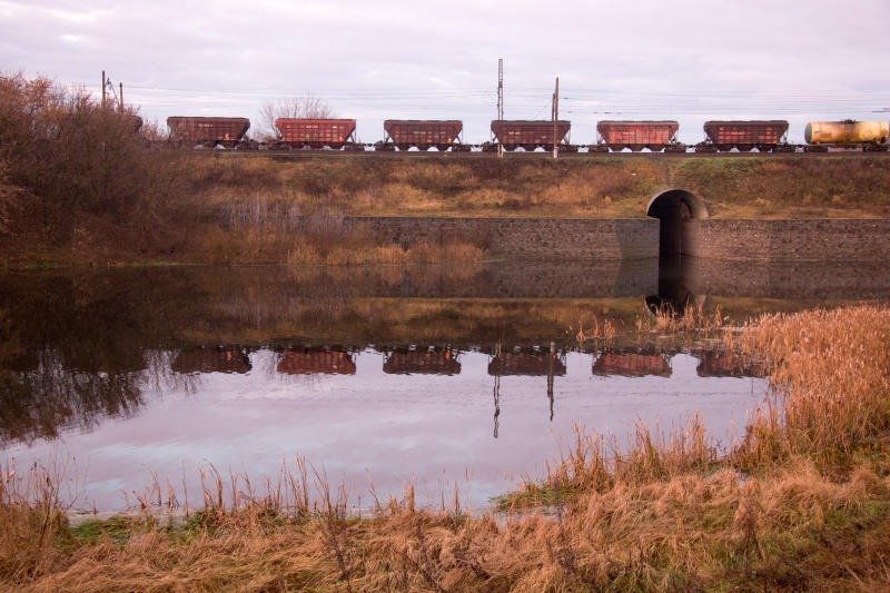 Транссиб. Южно-Уральская железная дорога. Вагоны-хопперы. Фото: РЖД