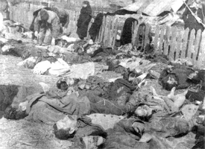 Волнынская резня. Свезенные на идентификацию и похороны трупы поляков. Фото: Википедия