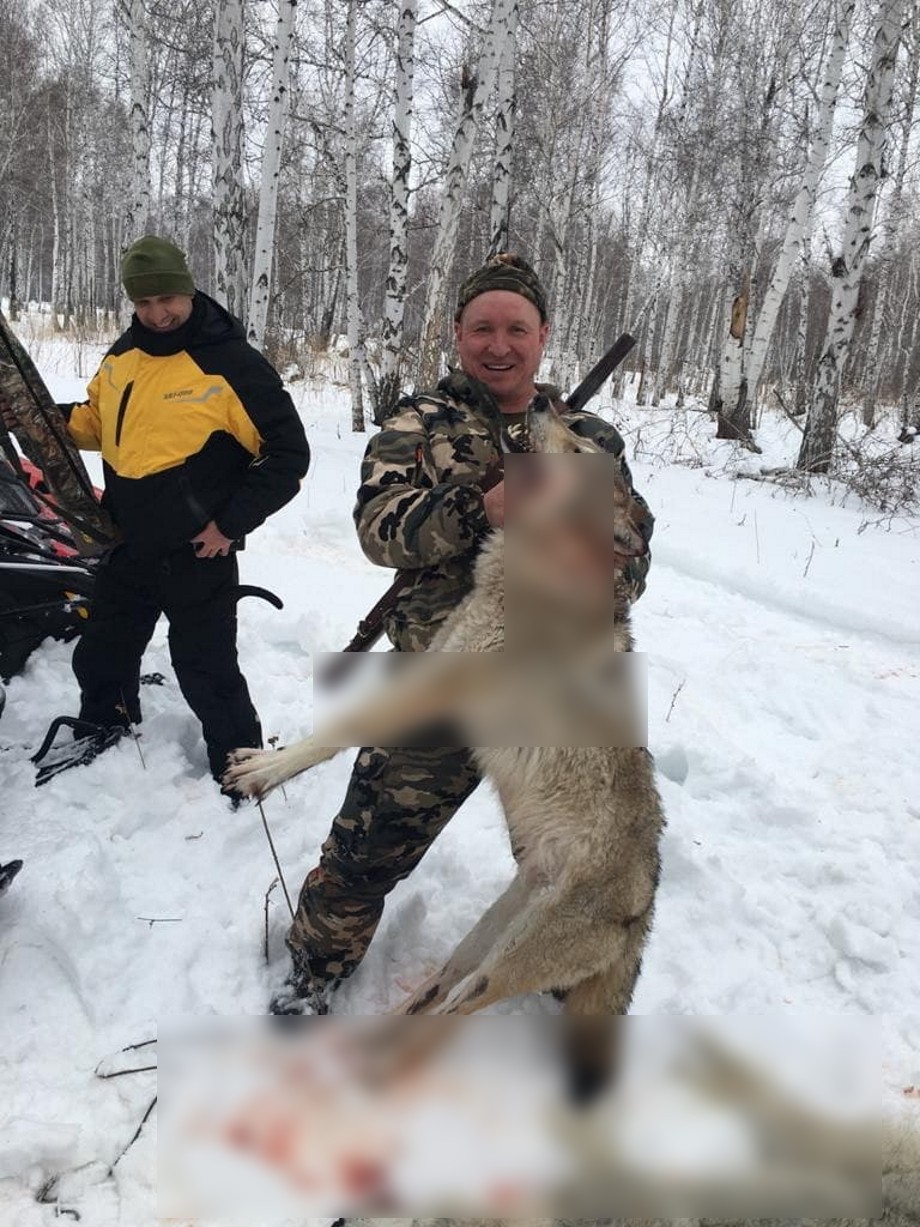 Ермек Сулейманов с убитым волком, слева — депутат Денис Хахалов. Фото предоставлены Алексеем Саночкиным