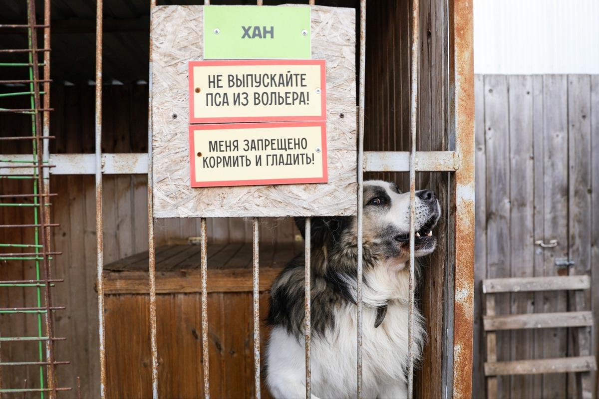 Фото: Кирилл Кухмарь / ТАСС