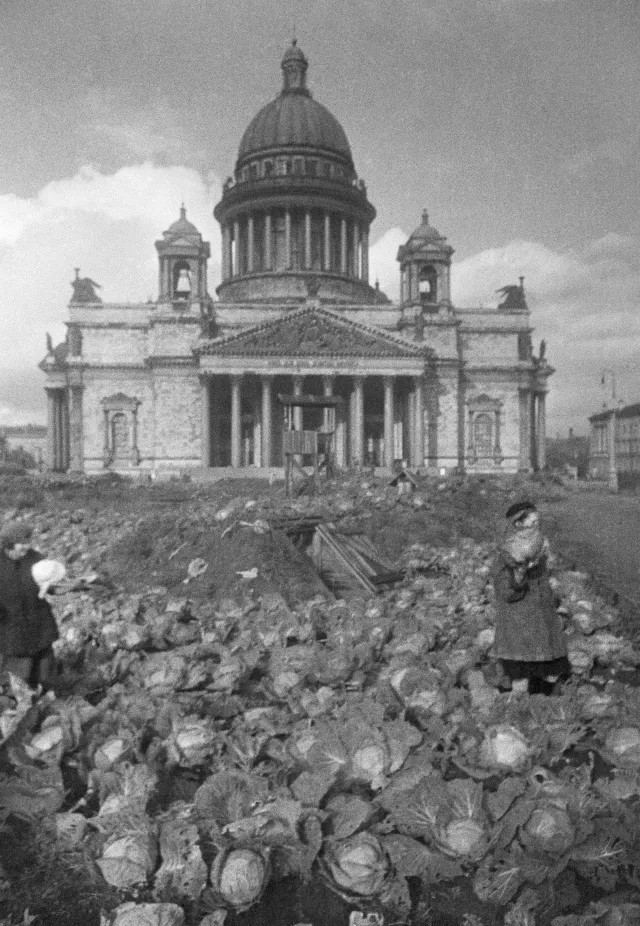 Огород перед Исаакиевским собором. Фото 1942 года / РИА Новости