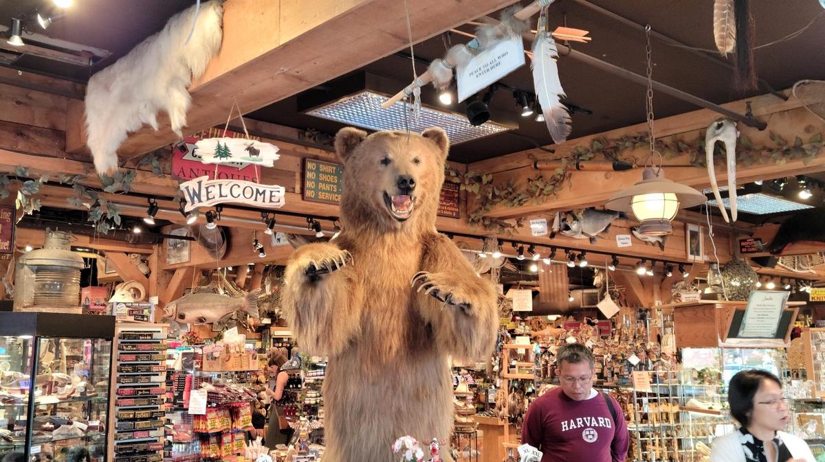 Фото: Иван Пильщиков / ТАСС