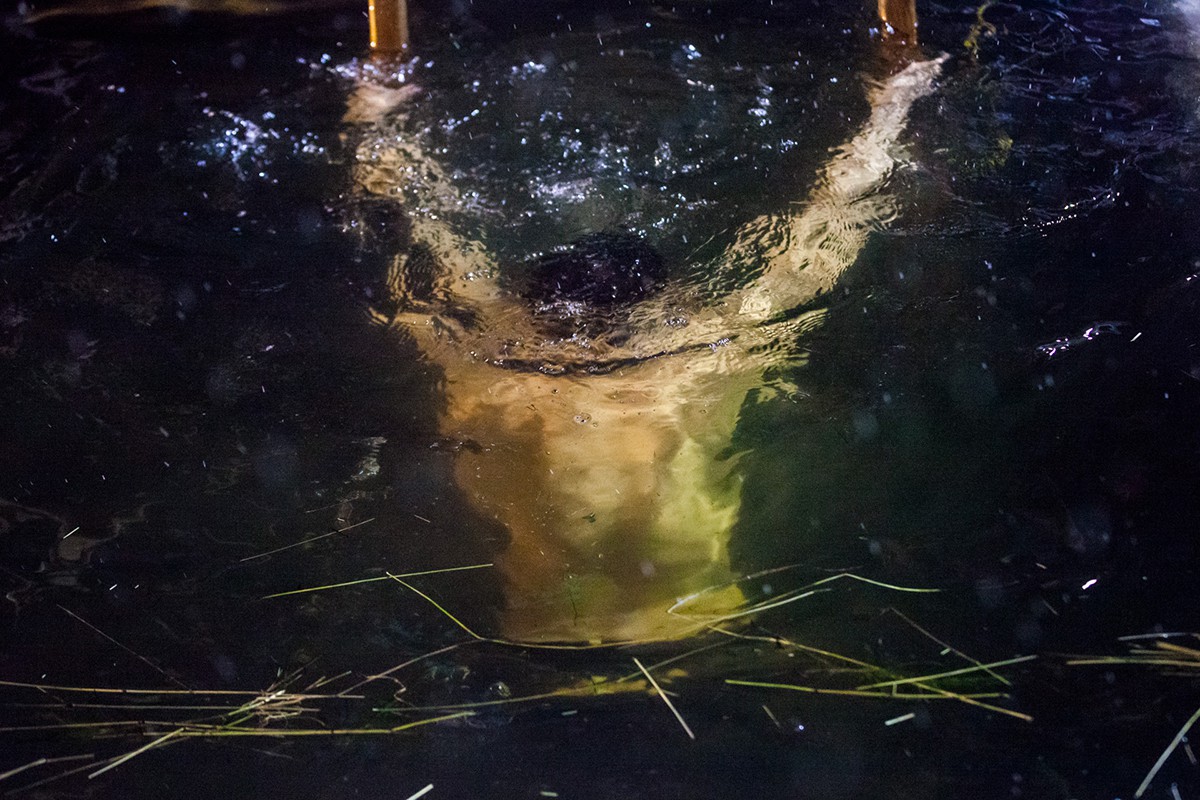 Фото: Елена Лукьянова / «Новая газета»