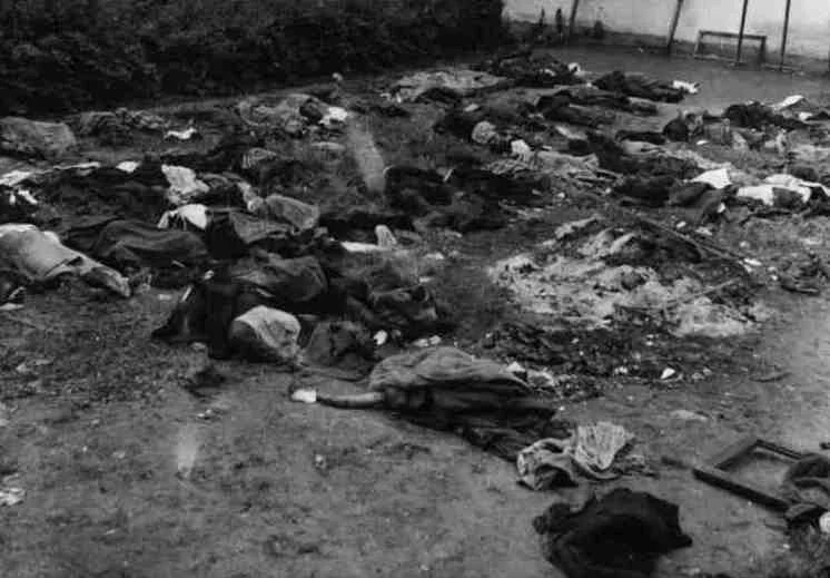 1941 год. Тела жертв расстрелов во Львове. Фото: Википедия