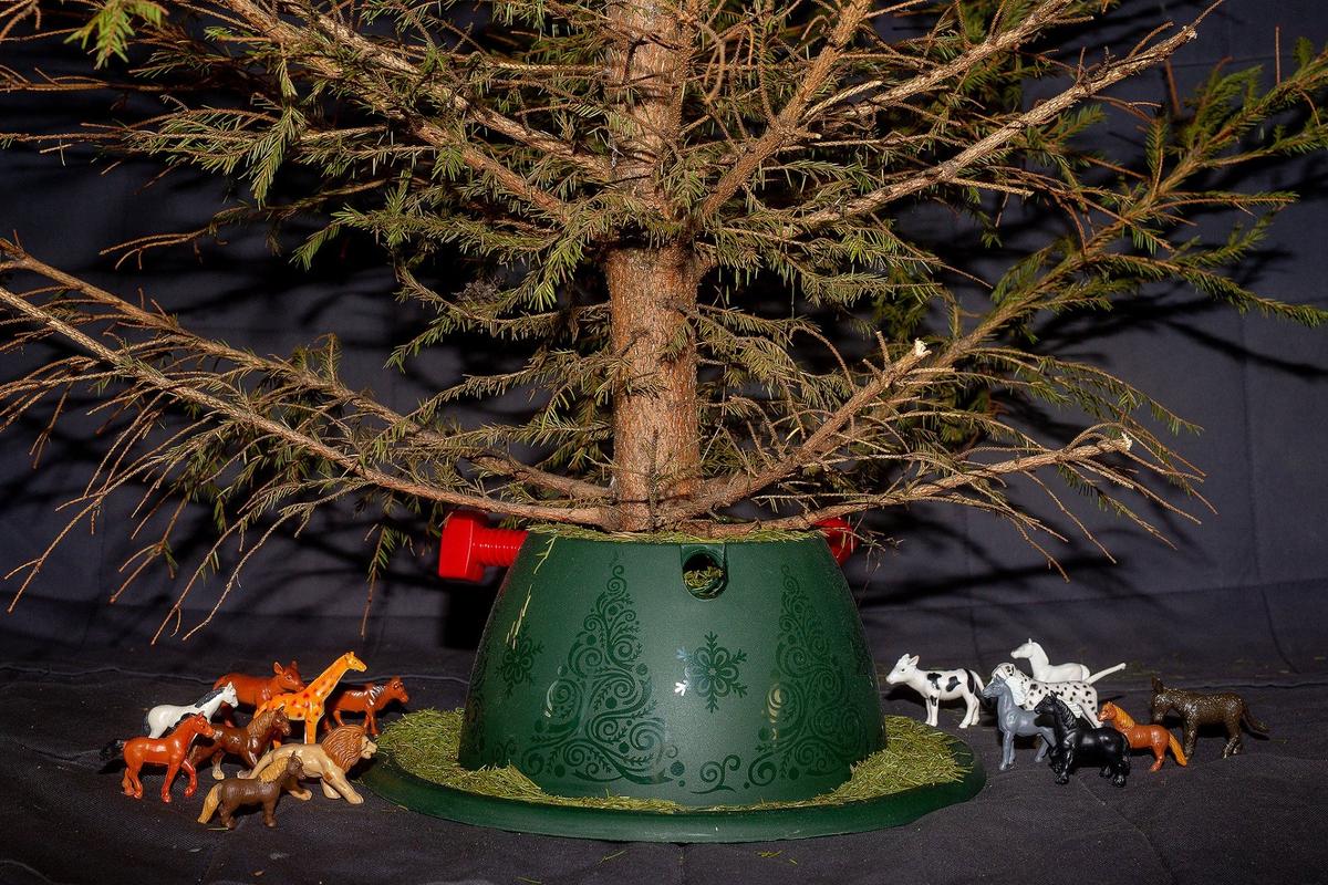 «У ребенка должна быть елка — пусть за тысячи верст». Фото: Алексей Душутин / «Новая газета»