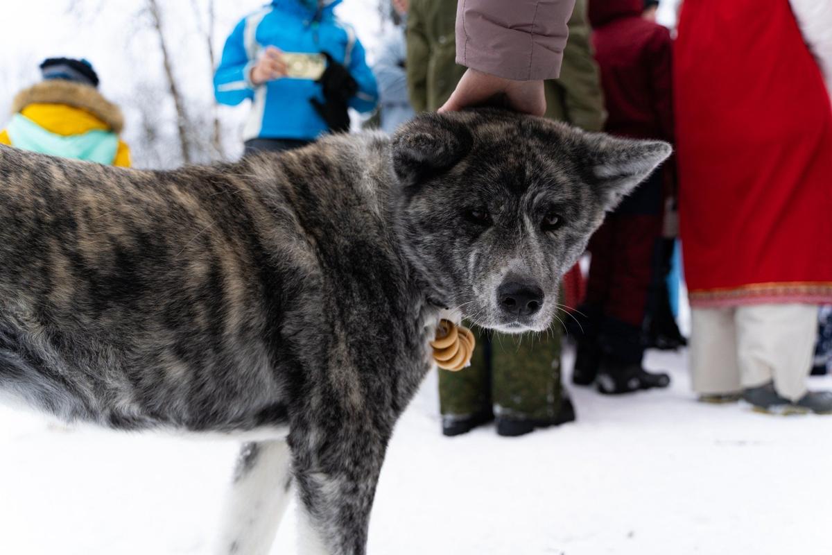 Фото: Федор Калитин