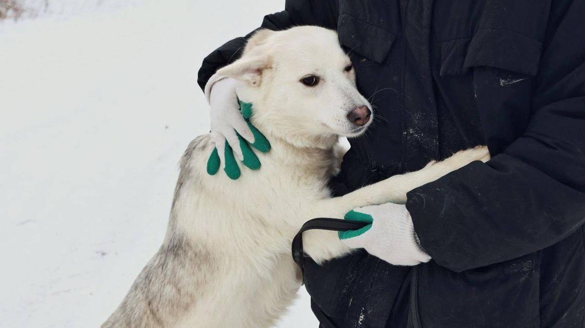 Палач придет первого марта