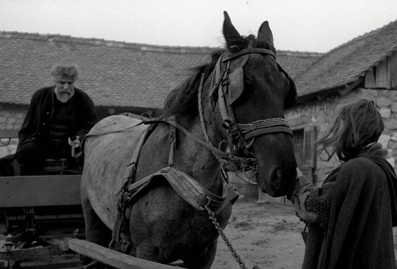 Кадр из фильма Белы Тарра «Туринская лошадь»