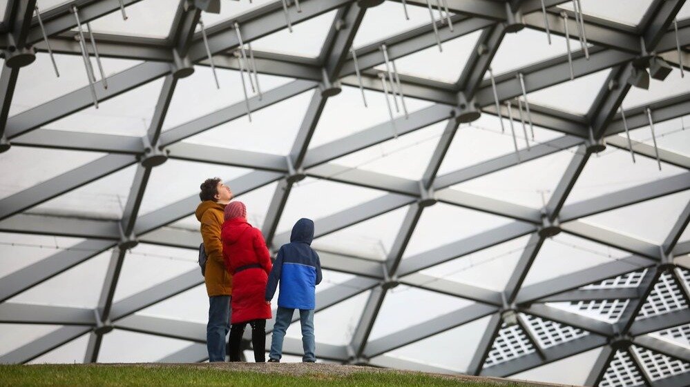 Универсальный ценитель, пескарь-импотент и социальная совесть