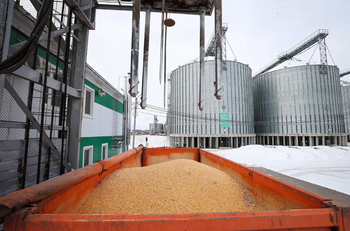 В общем и целом зерновая сделка не привела к тем результатам, на которые Россия рассчитывала. Фото: Егор Алеев / ТАСС
