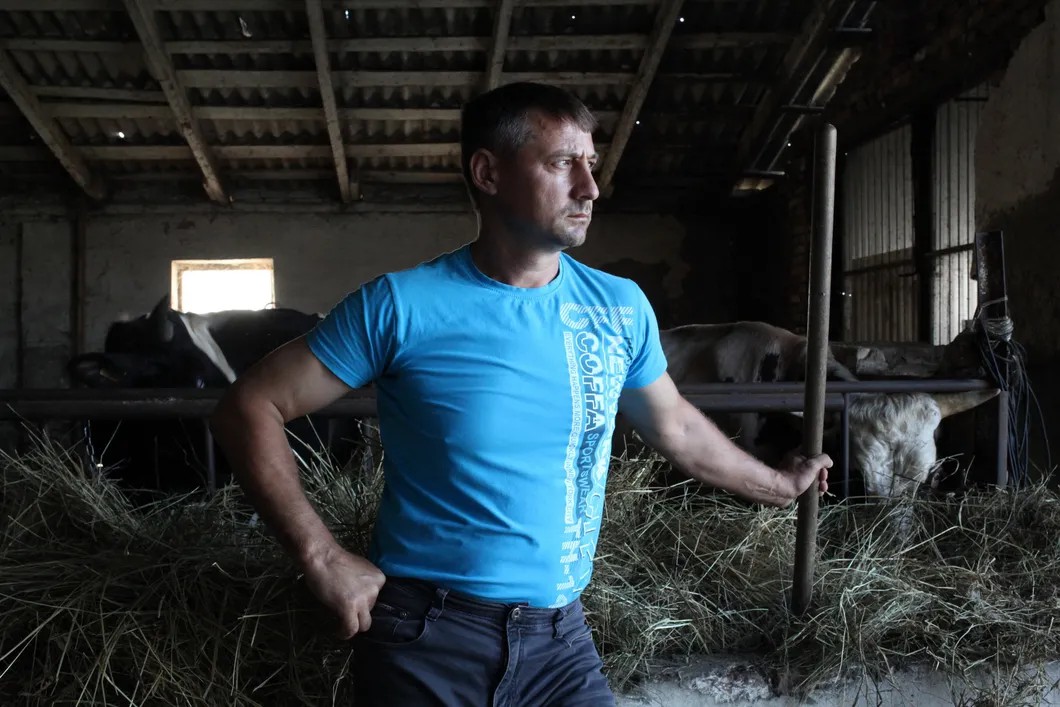 Фермер Андрей Зеленский и бык Борька. Фото: Анна Артемьева / «Новая»
