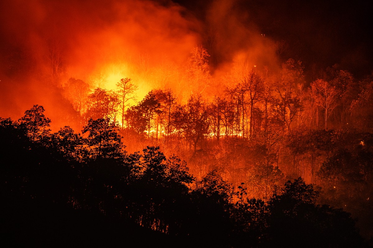 Лесные пожары, Таиланд. Фото: Getty Images